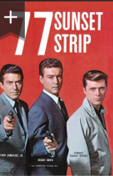 (image for) 77 Sunset Strip (Incomplete Series)